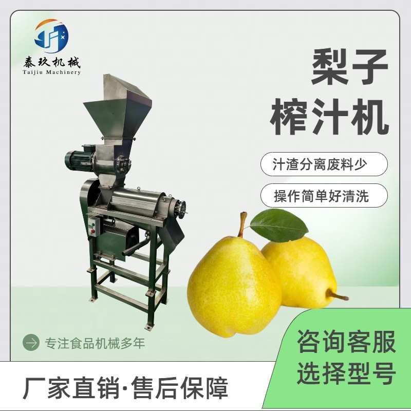 工业葡萄石榴榨汁机商用青梅李子榨汁机大型哈密瓜刺梨榨汁设备