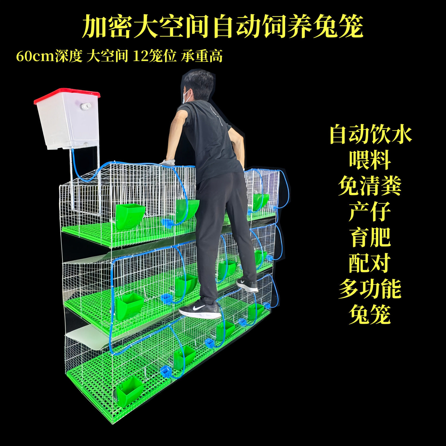 兔笼配对肉兔商品兔育肥笼母兔产仔笼长毛种兔12笼位加粗密兔笼子