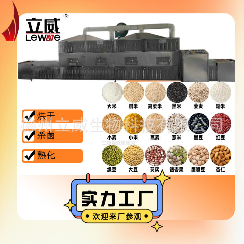 立威杂粮微波低温熟化设备 五谷杂粮烘焙设备生产厂大豆熟化机