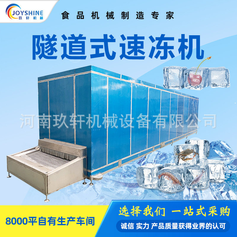 全自动盒装海鲜隧道式速冻线