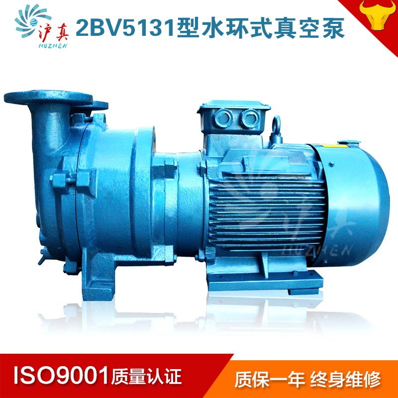 上海液环真空泵11KW水环式