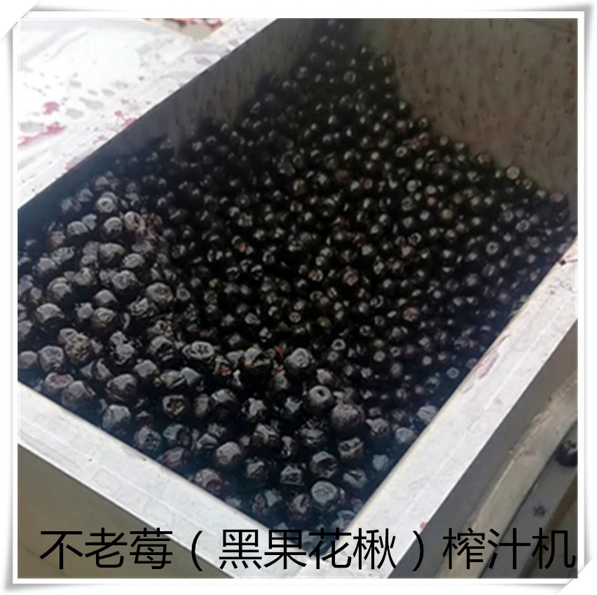 桑葚刺梨榨汁破碎机潮流
