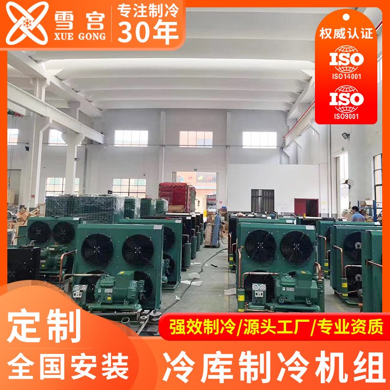 进口配件冷库机组制冷机组s谷轮机组比泽尔机组 2匹3匹5匹8匹20匹