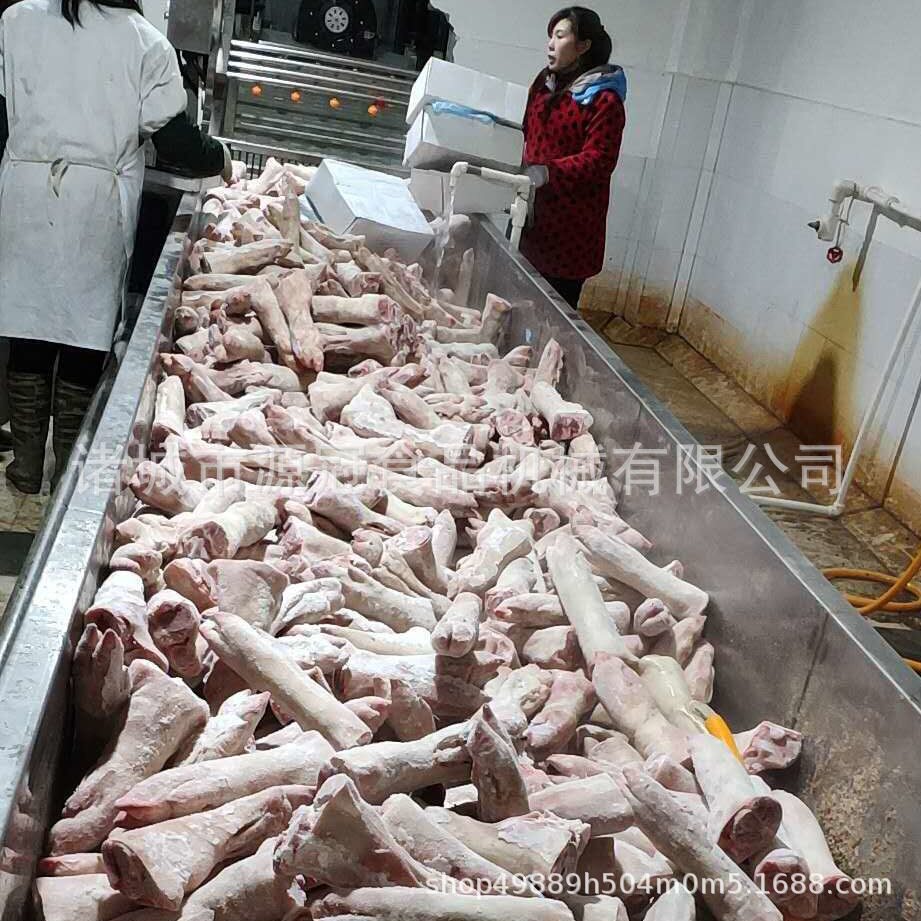连续式冻品冻肉解冻清洗流水线