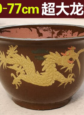 陶瓷龙缸大花盆50cm60cm80cm口径特大号花盆庭院落地种树铁树花盆