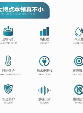 德国进口220V不锈钢农用深井泵家用自吸泵水井小型潜水泵高扬程抽