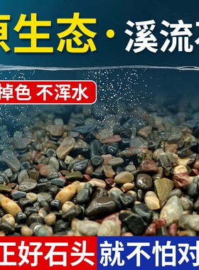 溪流石鱼缸底砂造景专用天然溪流砂鹅卵石龟缸水族箱免洗原生底沙