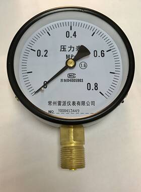 压力表 y-100 0-0.8mpa 直径100mm 铜螺纹m20x1.5 径向 压力8公斤
