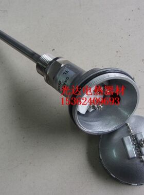 WZP-230探头热电阻 温度传感器 PT100热电阻 不锈钢探头热电阻