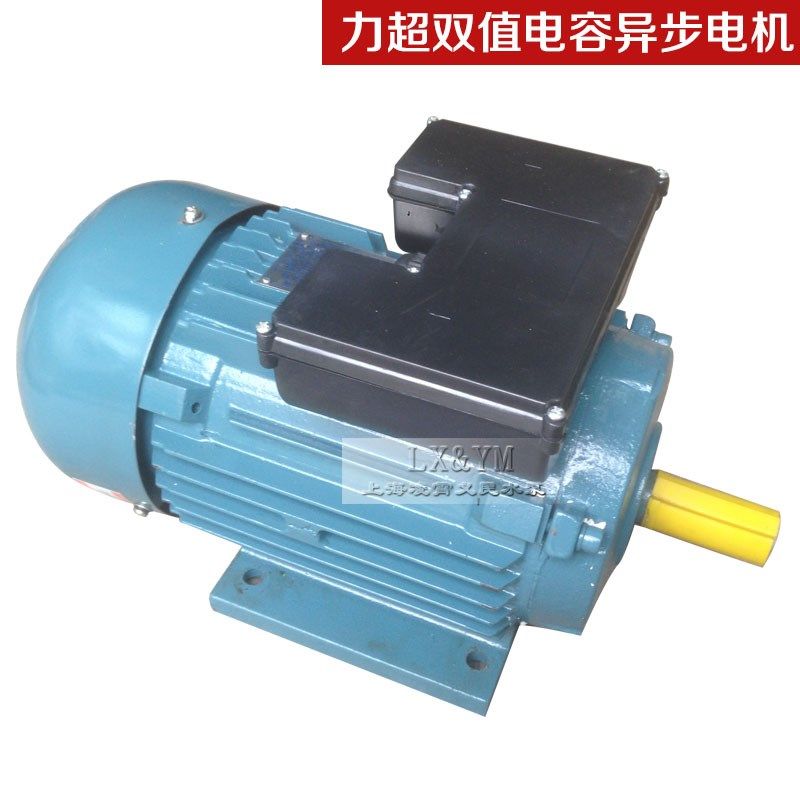 上海历师/大高电机YL100L2-4双值电容异步马达单相220V质量保证