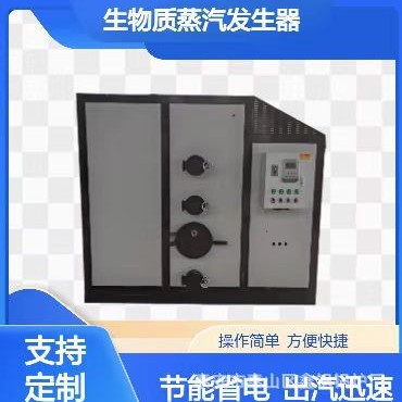 卧式蒸汽发生器燃煤生物质两用