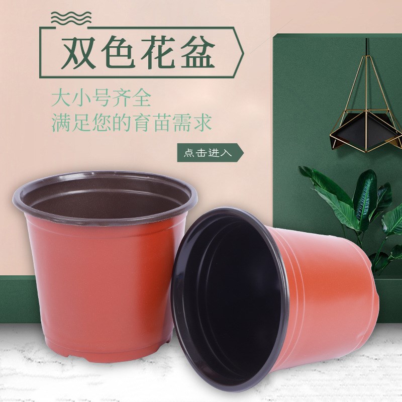 厂价销售双色多肉花盆绿植园艺用品塑料双色花盆简易双.色盆育苗