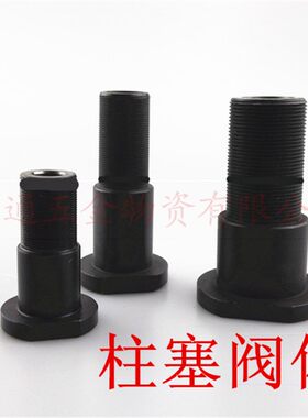 长江欧耐实长海喷涂机喷漆机6C9C6528 6525 柱塞阀体密封圈座活塞