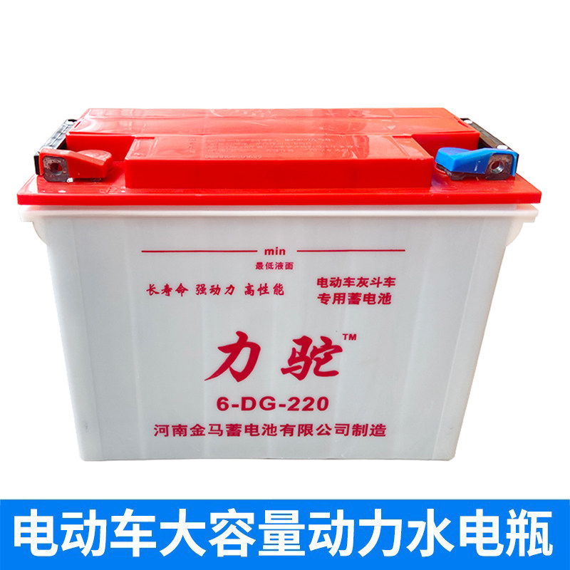 12V80A金马水电瓶电动三轮车工地拉货蓄电池4860v铅酸电源大容量