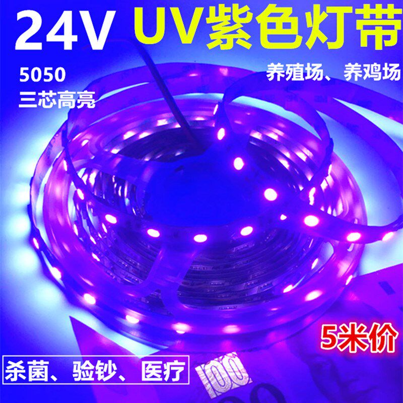 LED灯带24V5050高亮医疗设备紫光紫色LED灯条24V紫色防水验钞灯带