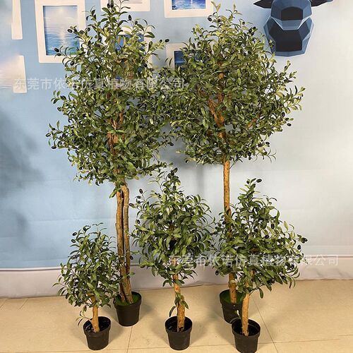 仿真橄榄树盆栽绿化家居工程室K内外带果仿真橄榄树