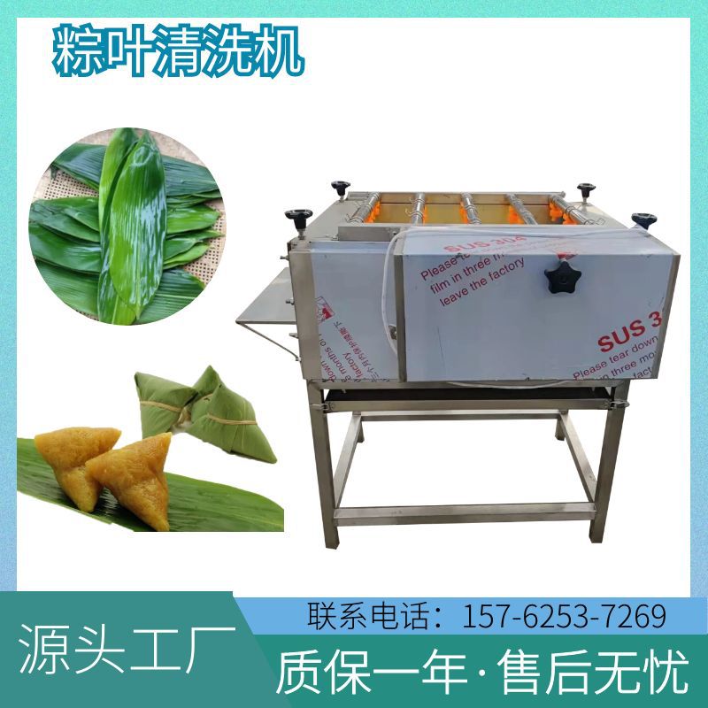 连续式双层毛刷粽叶枇杷叶清洗机