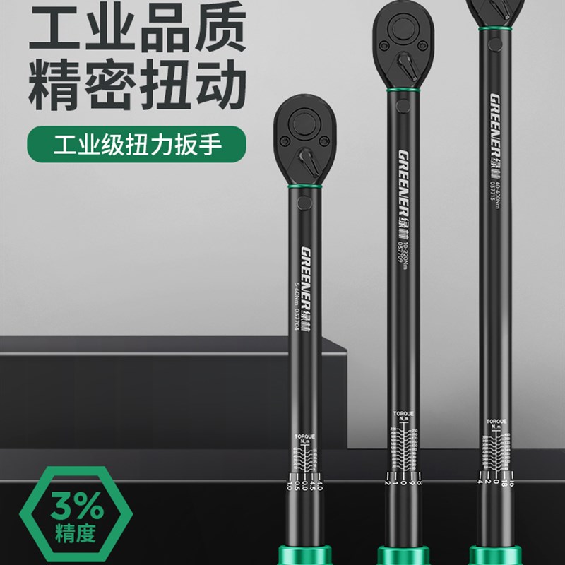 绿林扭力扳手高精度可调式扭矩力矩公斤扳手火花塞自行车汽修套装图片