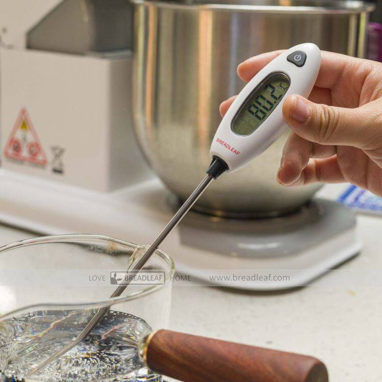 精准探针温度计烘焙测温温度计 带保护套 厨房食品