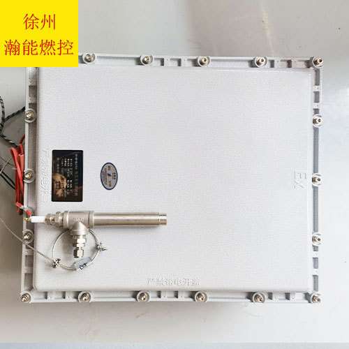火炬点火器BWFD-20防爆高能点火器电源220V带现场点火按钮控制箱