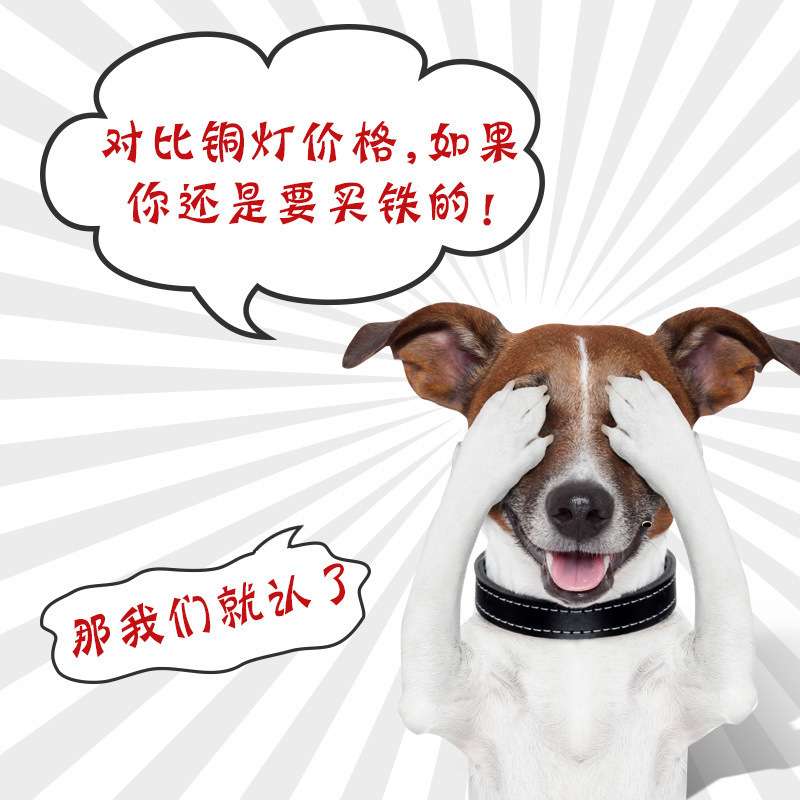 餐厅吊灯全铜灯北欧灯具创意个性后现代灯简约卧室灯长方形餐吊灯