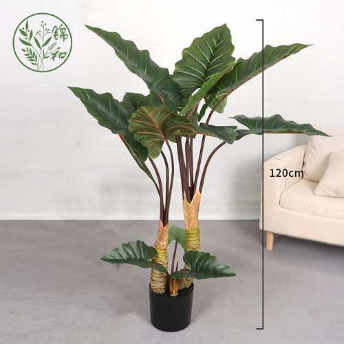 仿真绿植石斑彩虹芋家居商场人造彩虹芋大型落地盆景假树造景装饰