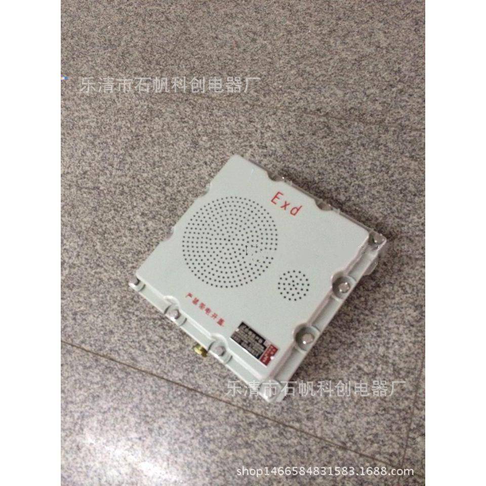 BHY-30W/100V防爆壁挂式音箱 有源防爆扬声器 壁挂式 监控