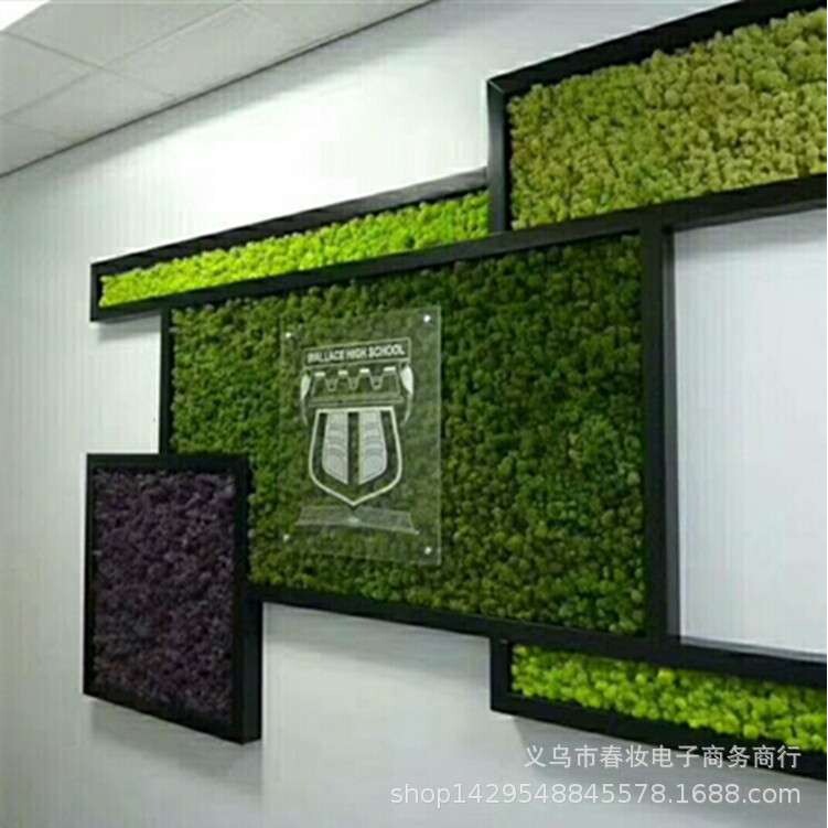 永生苔藓 仿真假苔藓 仿真苔藓 植物墙 造景 装饰微景观植物
