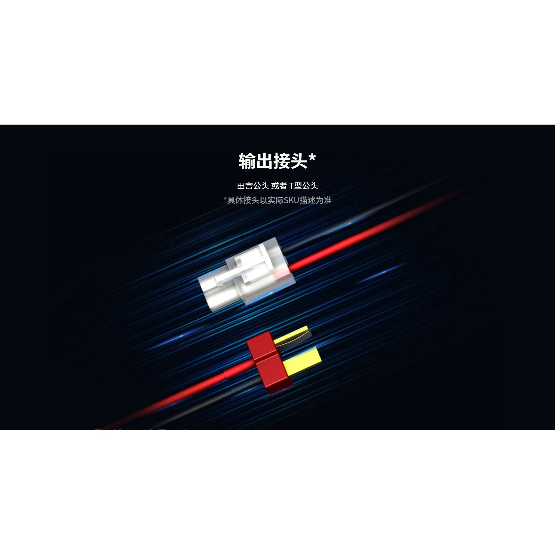 SkyRC EN18 镍氢 镍铬 5号 7号电池简易充电器黑色多国转换插脚