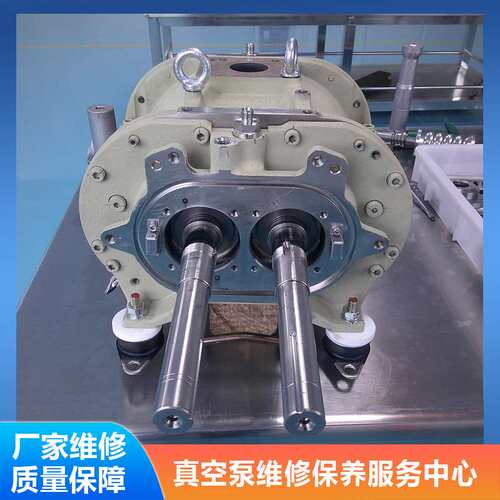 EV-M102N荏原干泵维修 进口真空泵保养厂家处理卡死异响故障EBARA