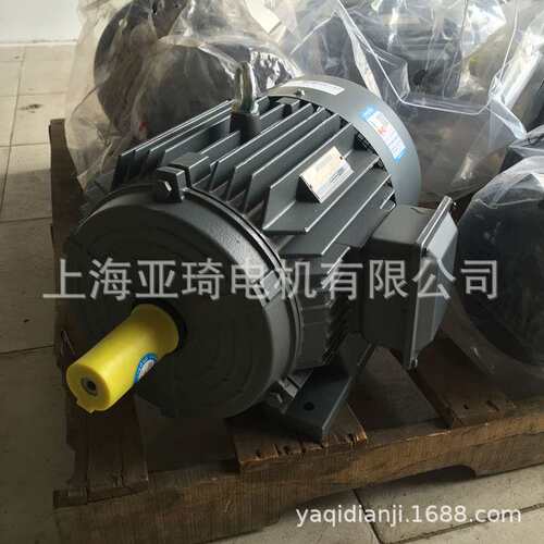 1TL0003-1DB23-3AA5-11KW-4-B3电机