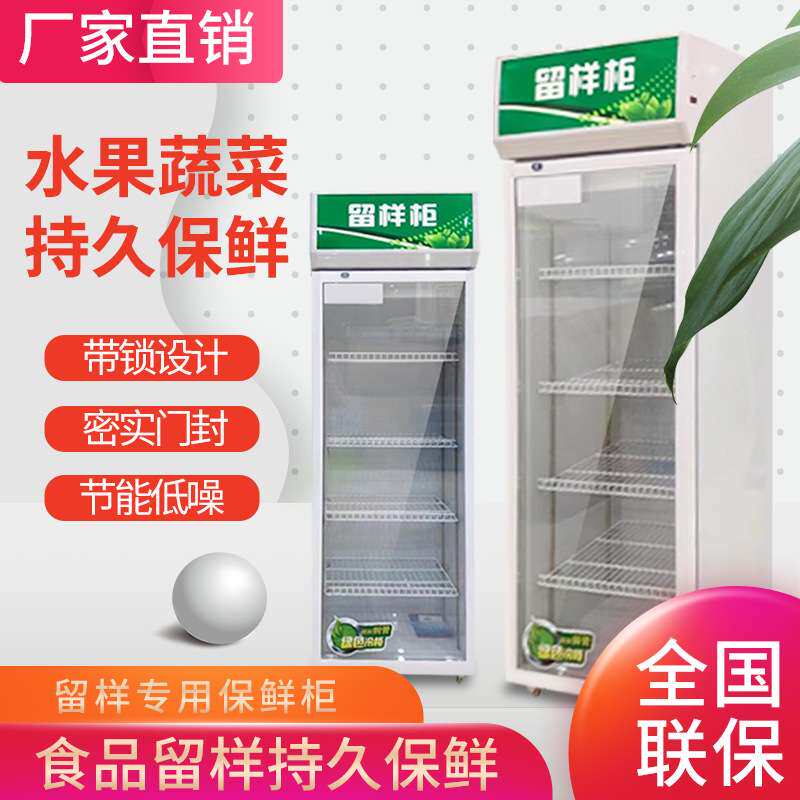 冷藏保鲜幼儿园食品留样柜带锁餐厅食堂家用小冰箱商用展示留样柜