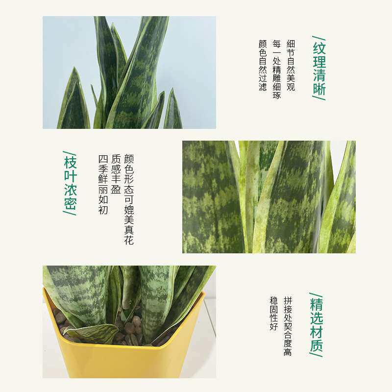 北欧仿真植物虎皮兰盆栽室内客厅大型落地假盆栽金边虎尾兰摆件
