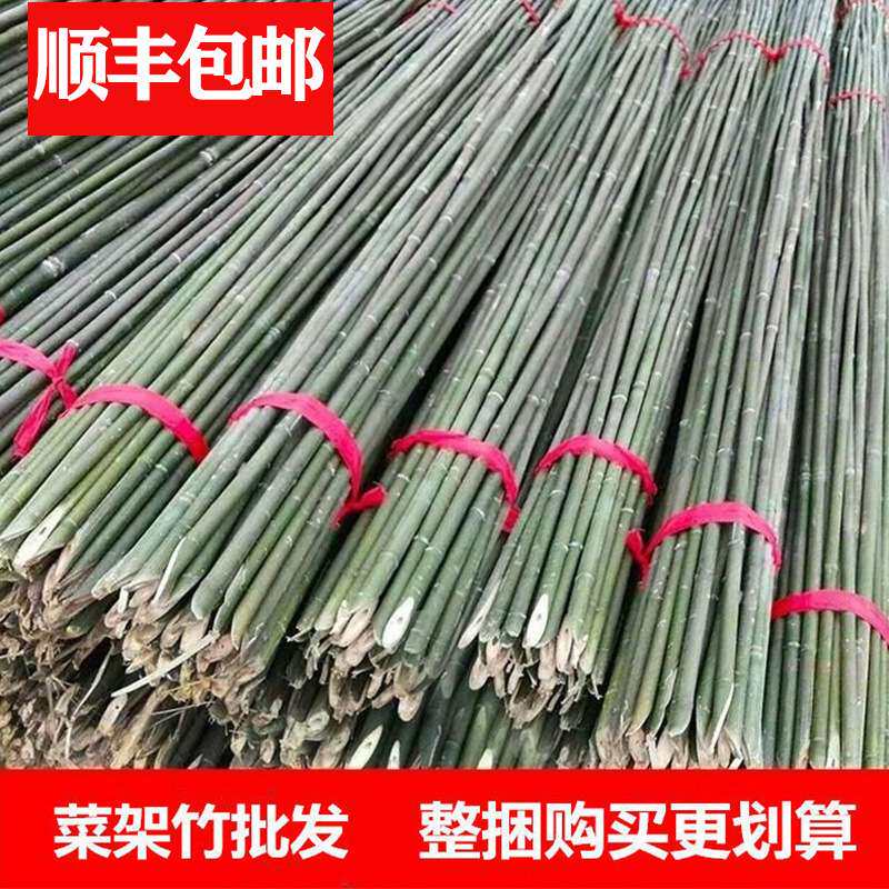 小竹竿菜园搭架细竹子豆角番茄黄瓜葡萄蔬菜爬藤架篱笆栅栏彩旗竿