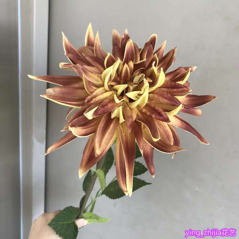仿真大丽菊 大丽花手感PU大丽花 单支大朵装饰仿真花图片