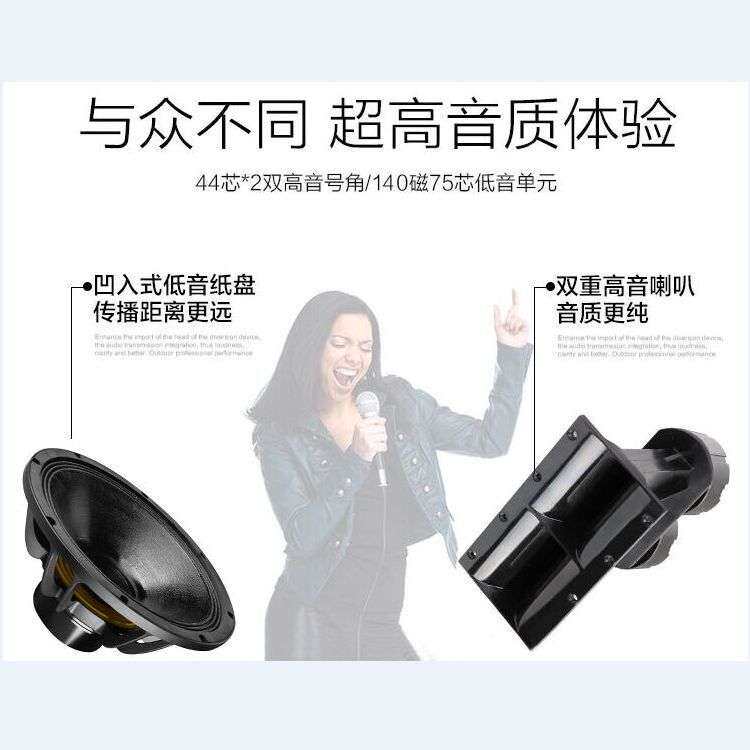 双6.5寸线阵音响音箱双6寸有源大型舞台演出宴会厅线阵音响音箱