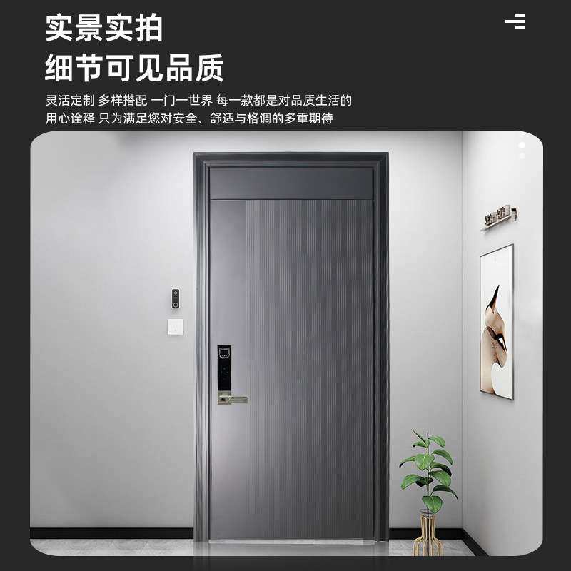 甲级防盗门入户门隔音入户门家用锌合金进户大门子母门安全密码锁