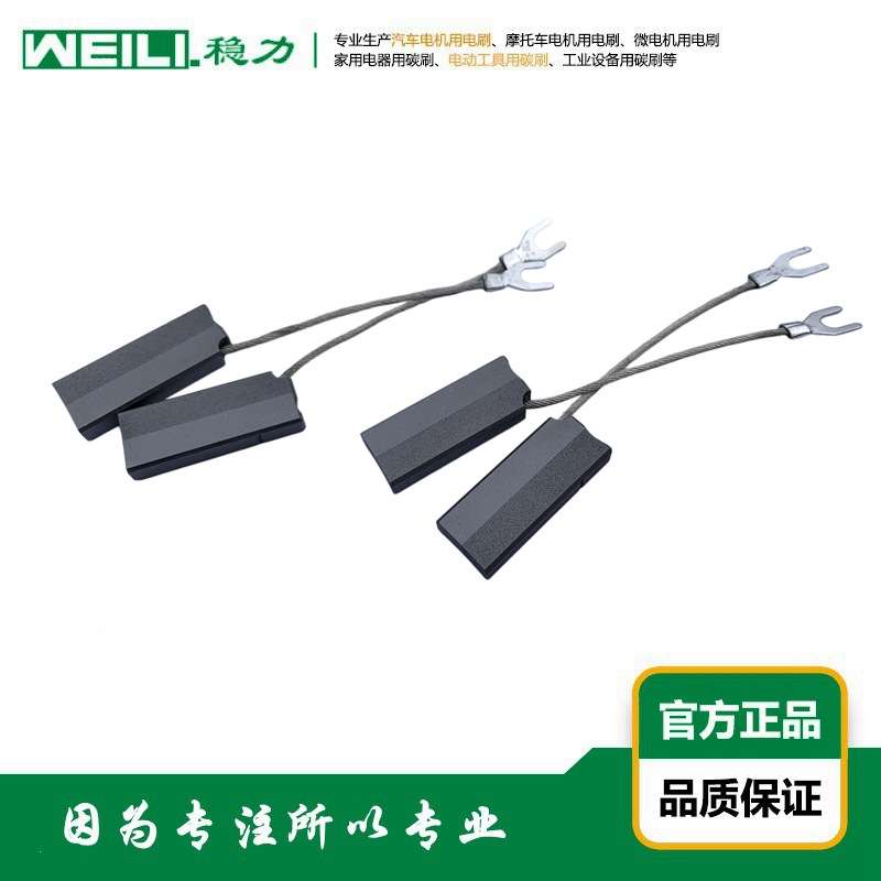 WEILI.稳力 供应风力发电机用接地双层连接电刷Q8A578F407