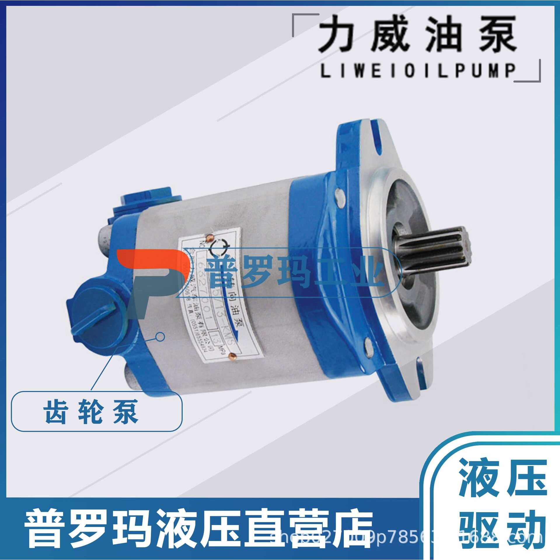 合肥力威液压3407020-155-CS2A客汽车 动力泵转向泵QC13/12-D10WX