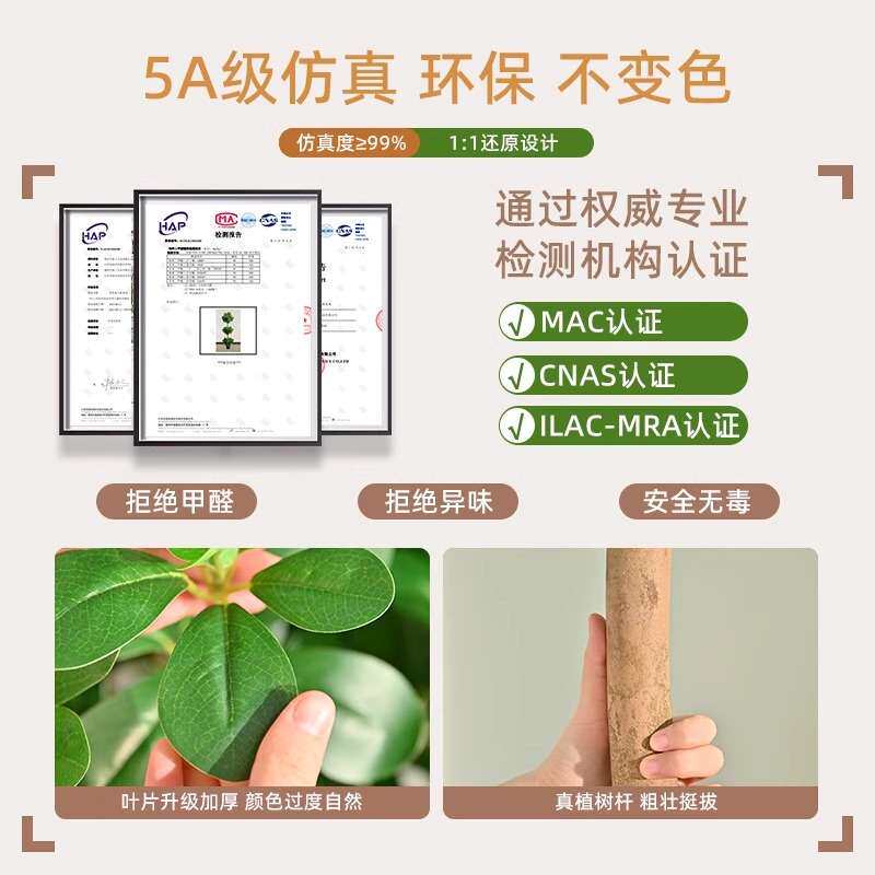 仿真植物金钱树落地盆栽室内大型仿生绿植摆件直播间轻奢装饰花