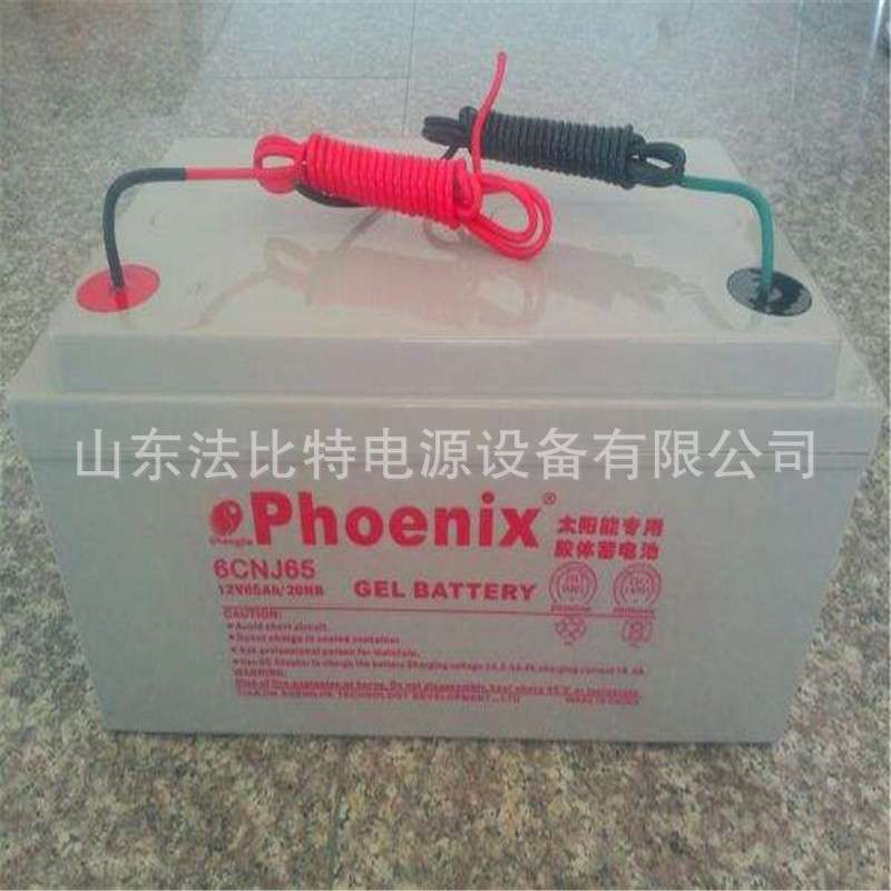 太阳能储能胶体蓄电池12V100Ah农村 山区太阳能路灯 光伏发电储能