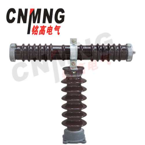 RN1RN2RN3RXWO-35/RW10-35型户外高压限流熔断器35-40.5KV熔断器