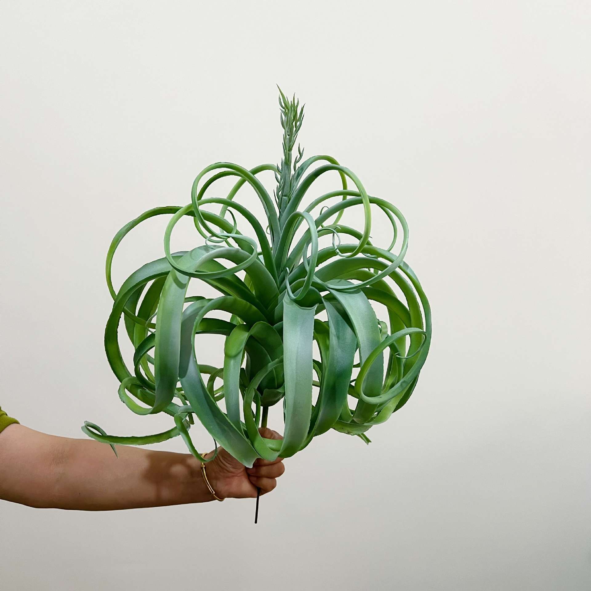 含阳 仿真假沙漠多肉植物特大霸王空气草 凤梨 仿真植物 装饰