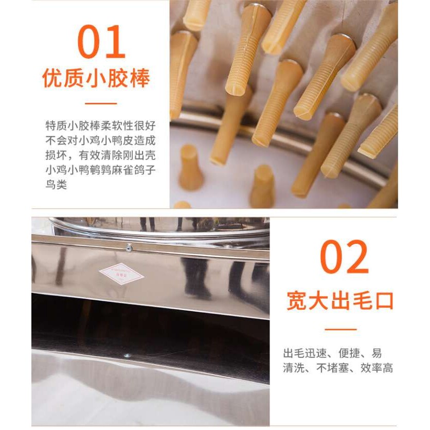 不锈钢小家禽鹌鹑鸽子脱毛机刚出壳小鸡小鸭小鹌鹑脱毛机 厂家