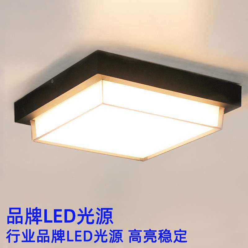 户外吸顶灯防水防虫别墅庭院屋檐入户室外自建房大门口感应阳台灯