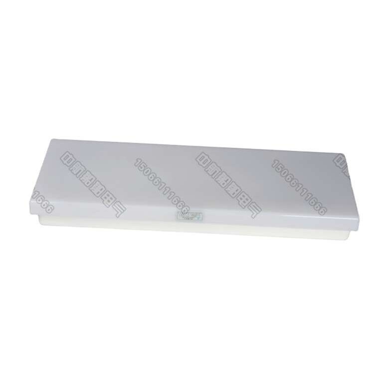 船用LED灯管式防水航行双管蓬顶灯具JPY/ZYP20-2/2E应急CCS证