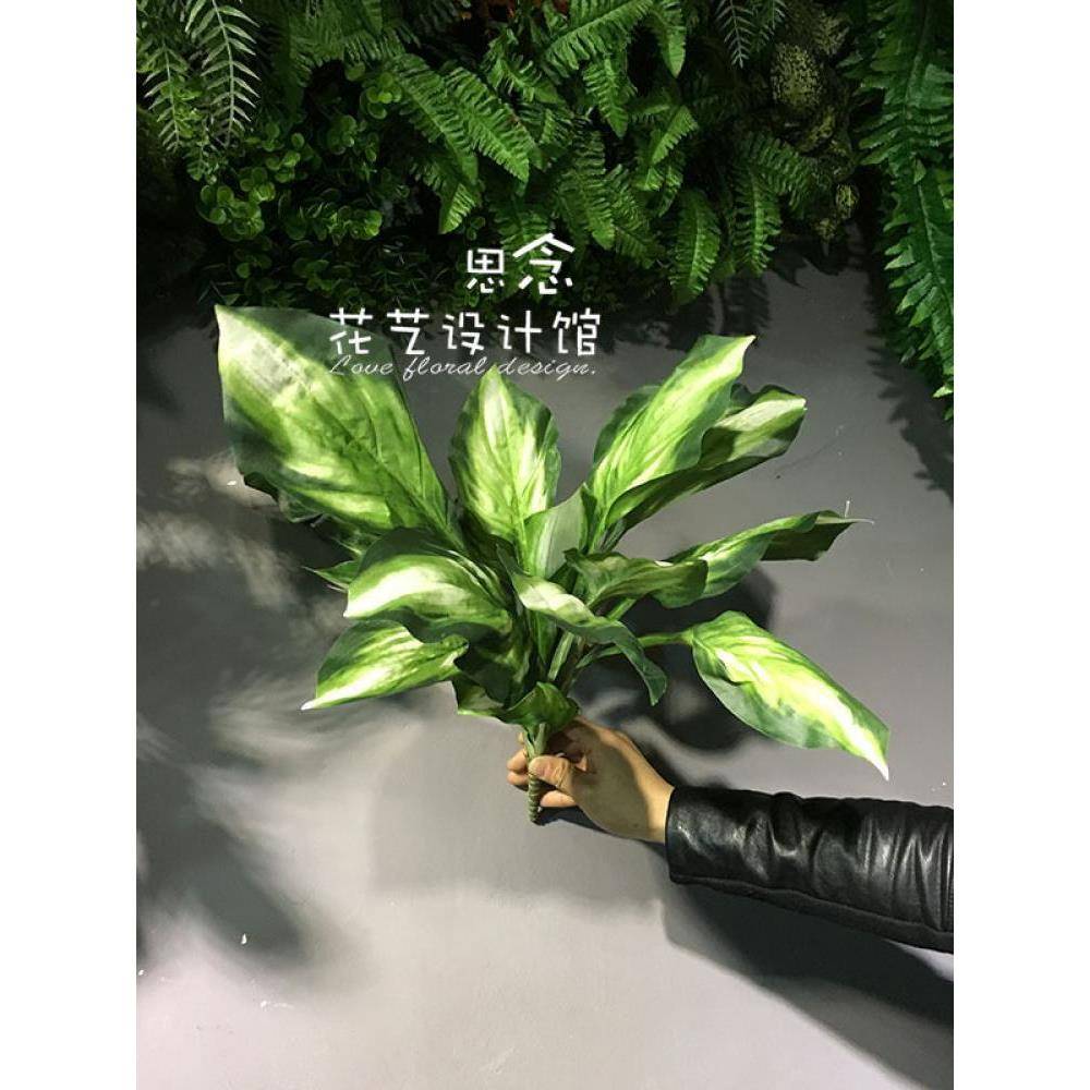 仿真玉簪叶子,仿真大叶子绿植单只/束感,植物墙牛货好品不绢花