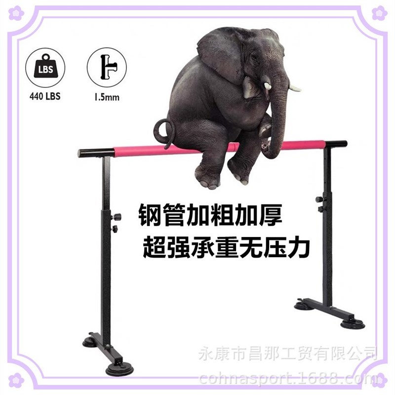 舞蹈把杆可移动升降家用舞蹈房专用儿童I成人多功能舞蹈瑜伽压腿