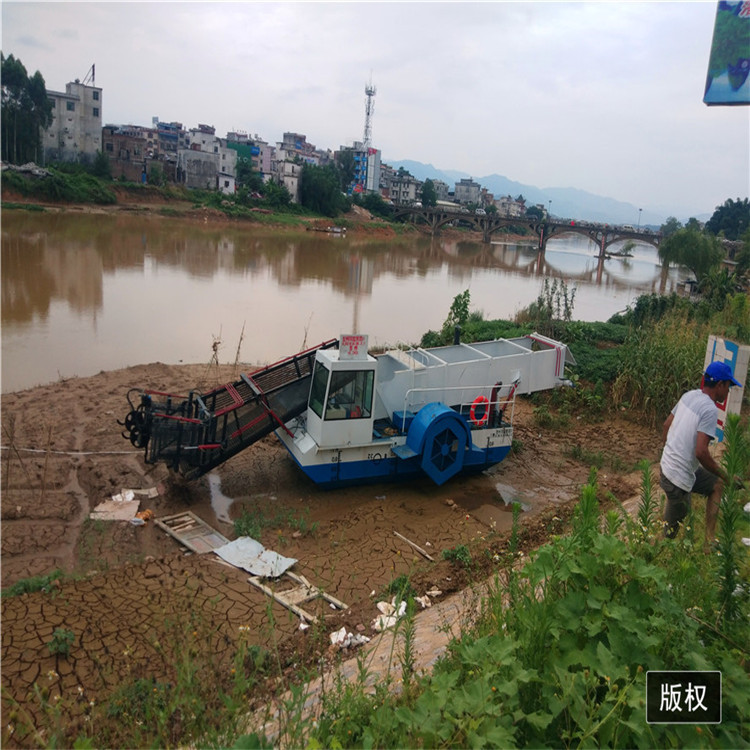 全自动水上保洁割草打捞船