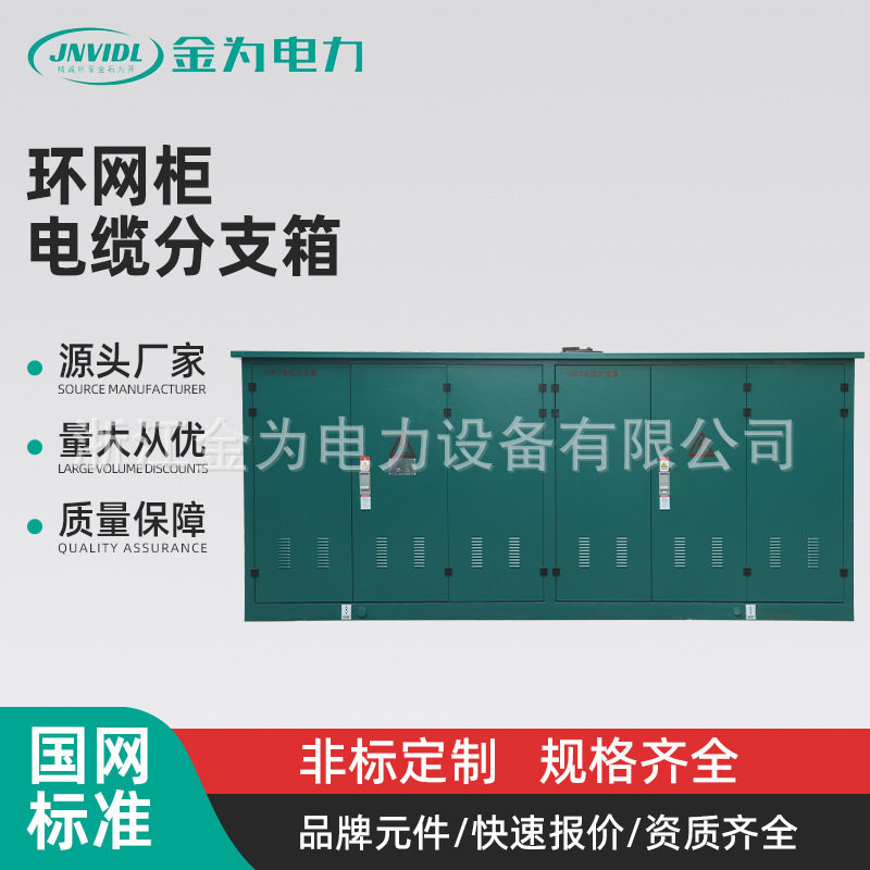 固体绝缘环网柜电缆分支箱高压成套开关柜充气柜带开闭锁户外
